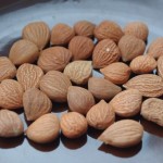 Olejek z pestek moreli